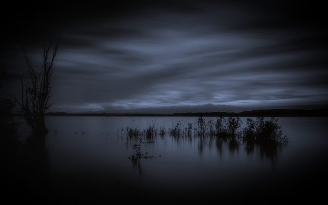 Обои картинки фото природа, реки, озера, озеро, ночь, тростник, облака