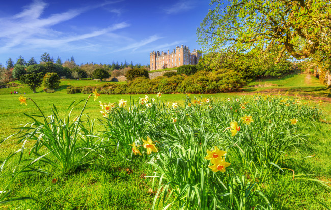 Обои картинки фото drumlanrig castle, scotland, united kingdom, города, замки англии, drumlanrig, castle, united, kingdom