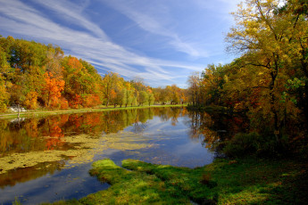 Картинка природа реки озера деревья река осень