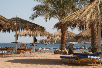 Картинка sharm el sheikh природа тропики пляж пальмы египет