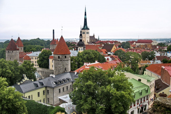 Обои картинки фото таллин, эстония, города, дома, крыши, шпили