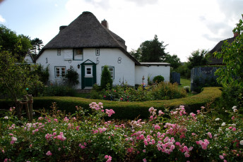 Картинка германия небель города здания дома сад дом