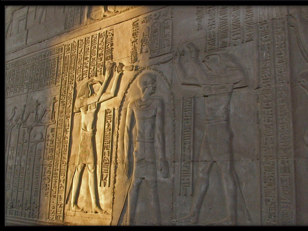 Обои картинки фото разное, рельефы, статуи, музейные, экспонаты, древний, египет