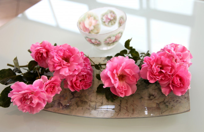 Обои картинки фото цветы, розы, чашка, розовый, поднос