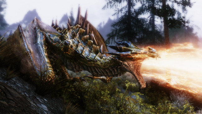 Обои картинки фото видео игры, the elder scrolls v,  skyrim, дракон, фон, огонь
