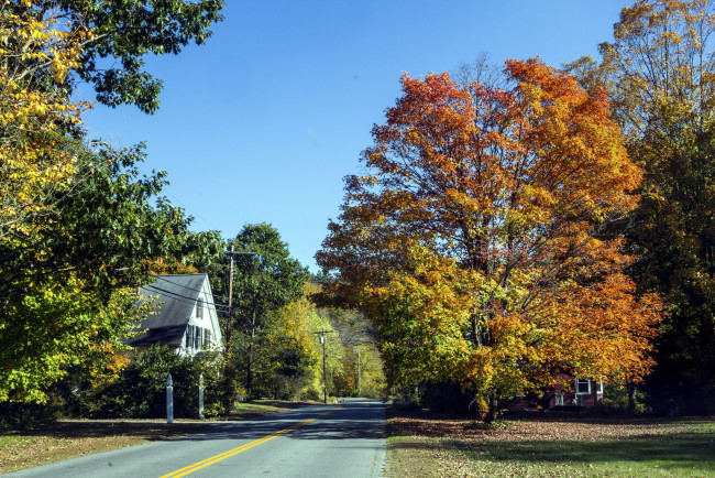 Обои картинки фото природа, дороги, шоссе, осень, деревья, разметка