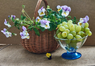 обоя еда, виноград, фрукты, натюрморт, цветы, корзинка, виола
