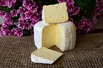 Картинка еда сырные+изделия сыр сырное изделие долька цветы
