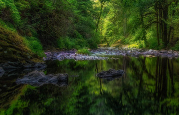 Картинка природа реки озера камни водоём деревья лес пейзаж