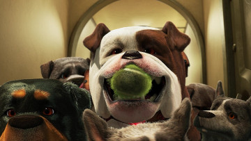 Картинка мультфильмы up собака мяч морда много