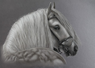 Картинка рисованное животные фон конь