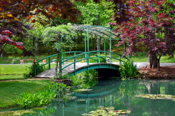 Картинка природа парк мостик водоем