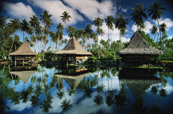 Картинка природа тропики озеро пальмы дома небо облака