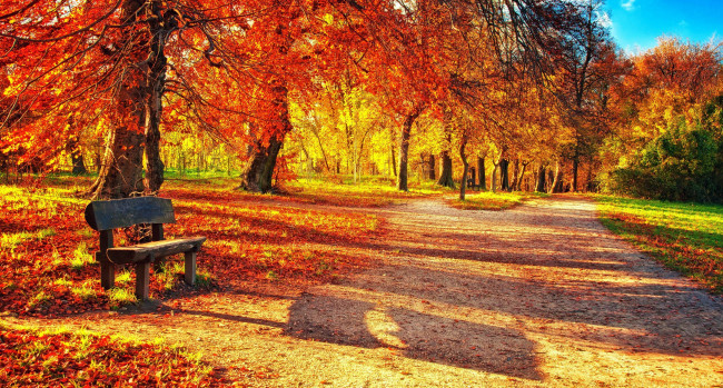 Обои картинки фото природа, парк, осень