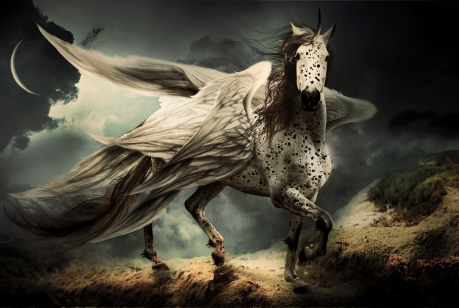 Обои картинки фото фэнтези, фотоарт, конь, крылья, фон