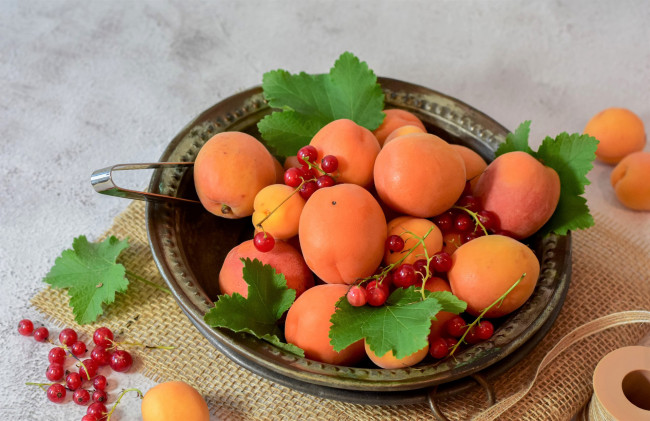 Обои картинки фото еда, фрукты,  ягоды, абрикосы, смородина, красная, ягоды