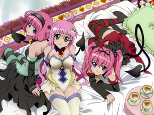 Картинка аниме to love ru