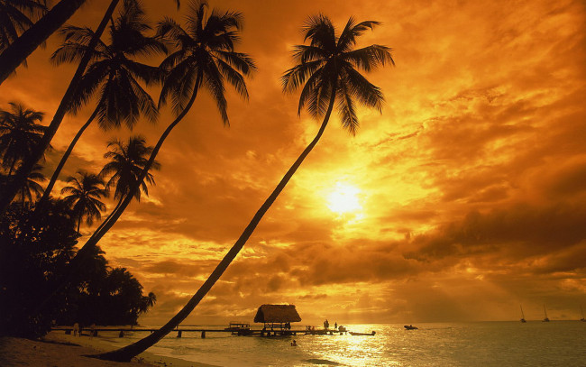 Обои картинки фото остров, тобаго, природа, восходы, закаты