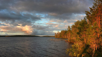 Картинка природа реки озера деревья озеро