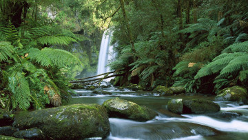Картинка природа водопады водопад тропики джунгли река