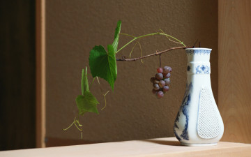Картинка еда виноград ветка ваза