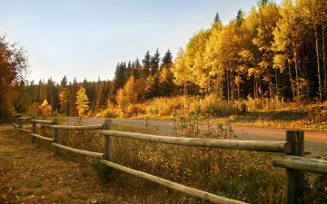 Картинка природа дороги осень изгородь лес дорога