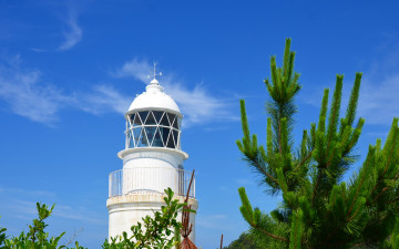 Картинка природа маяки маяк ветка