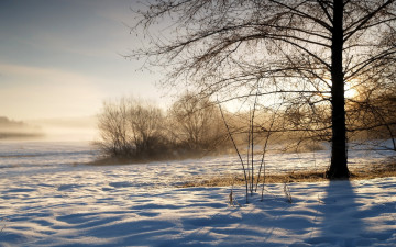 Картинка winter природа зима снег дерево поле