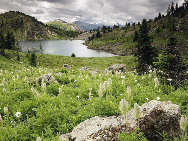 Обои картинки фото природа, реки, озера, камни, цветы, ёлки, трава, горы, озеро