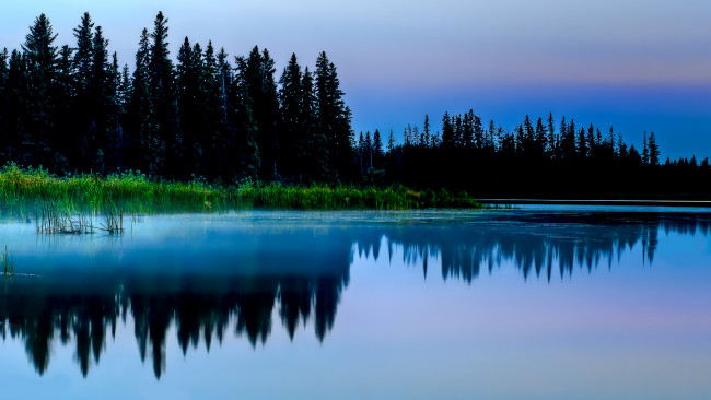 Обои картинки фото reflection, природа, реки, озера, озеро, лес, тростник, ночь