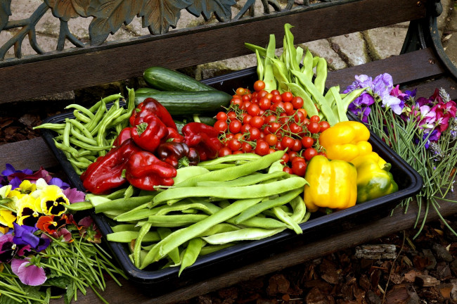 Обои картинки фото еда, овощи, цукини, помидоры, виола, перец, фасоль