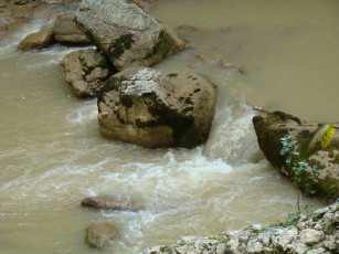Картинка природа вода