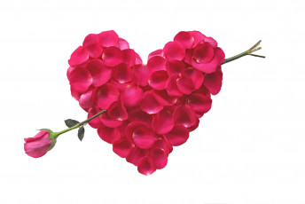 Картинка праздничные день св валентина сердечки любовь роза лепестки
