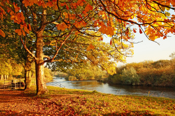 Картинка природа реки озера золотой каштан осень