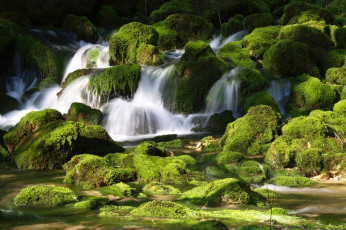 Картинка природа реки озера речка ручей камни мох
