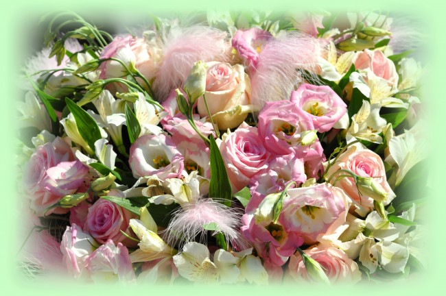 Обои картинки фото цветы, разные вместе, розы, эустома, альстромерии
