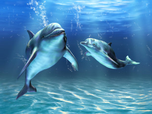 обоя 3д графика, животные , animals, море, дельфины