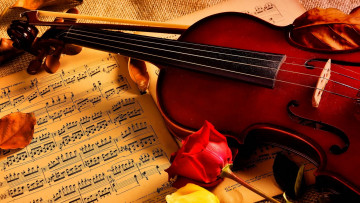 обоя музыка, -музыкальные инструменты, розы, ноты, скрипка