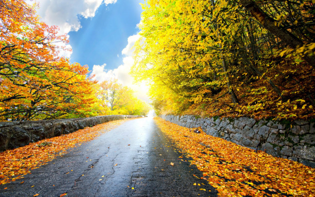 Обои картинки фото природа, дороги, листья, шоссе, осень
