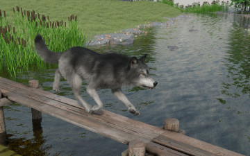 Картинка 3д+графика животные+ animals волк фон взгляд