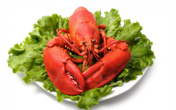 Картинка еда рыба +морепродукты +суши +роллы клешни омар листья морепродукт салат seafood