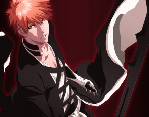 Картинка аниме bleach персонаж