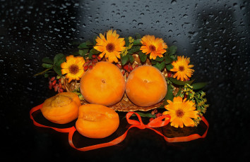 Картинка еда персики +сливы +абрикосы корзинка красота ромашки природа цветы beauty beautiful harmony красивые настроение
