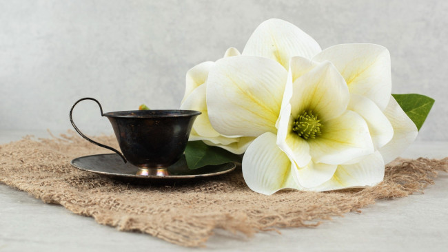 Обои картинки фото еда, кофе,  кофейные зёрна, чашка, цветок