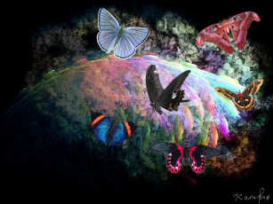 обоя batterfly, рисованные, животные, бабочки