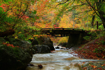 Картинка природа реки озера камни мост река деревья