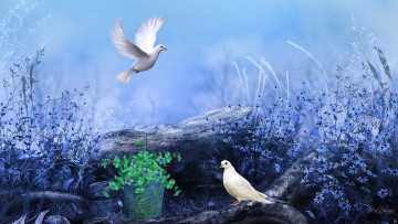 Картинка рисованные животные птицы голуби