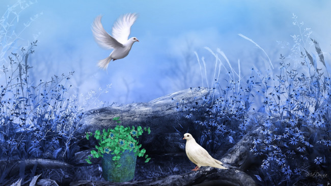 Обои картинки фото рисованные, животные, птицы, голуби