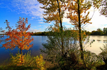 Картинка Ярославль река которосль природа реки озера деревья