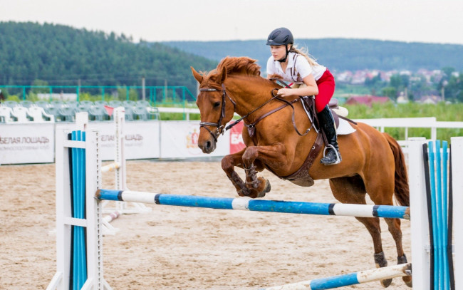 Обои картинки фото спорт, конный, барьер